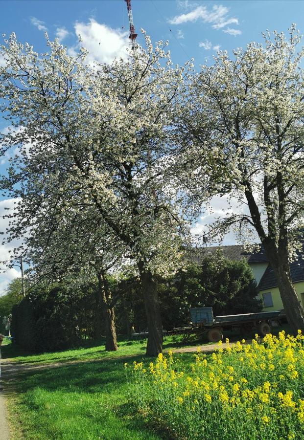 Ferienwohnung Landidylle Nassheck Dieblich Luaran gambar