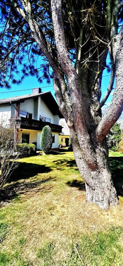 Ferienwohnung Landidylle Nassheck Dieblich Luaran gambar