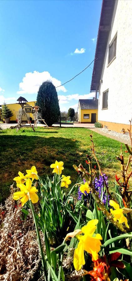 Ferienwohnung Landidylle Nassheck Dieblich Luaran gambar