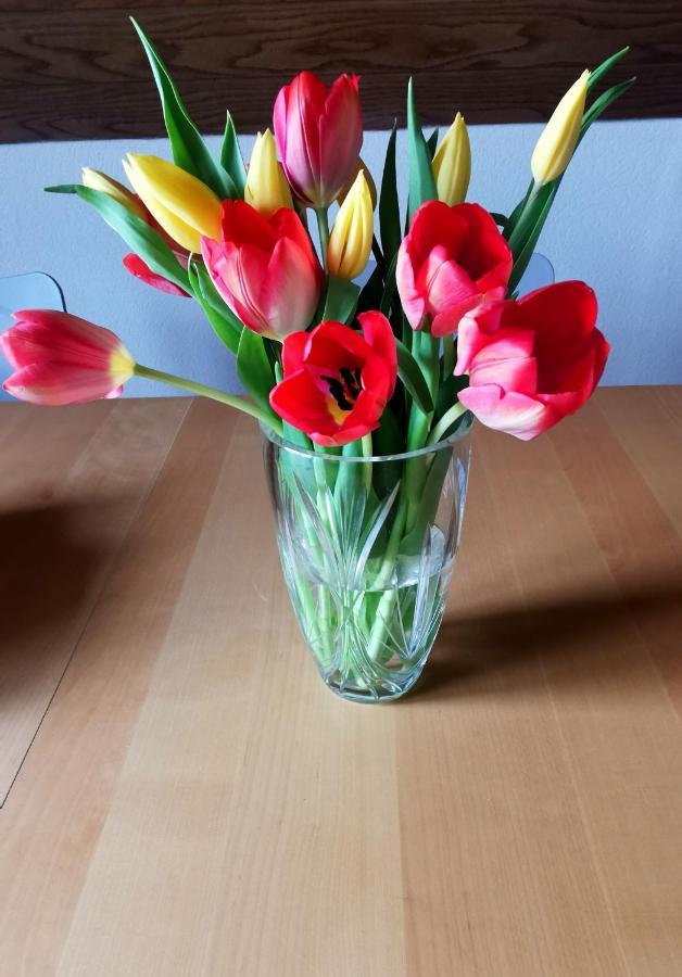 Ferienwohnung Landidylle Nassheck Dieblich Luaran gambar